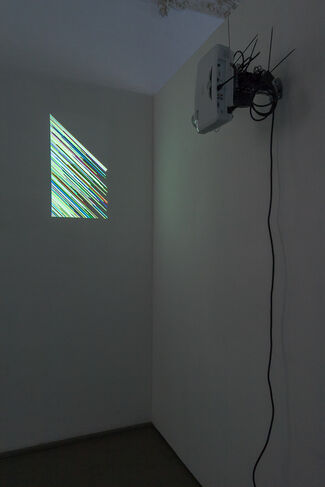Ignas Kruglevičius, installation view