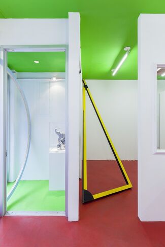 The Ceiling Should Be Green, installation view