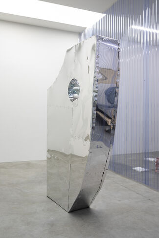 The Perception of Narcissus, installation view