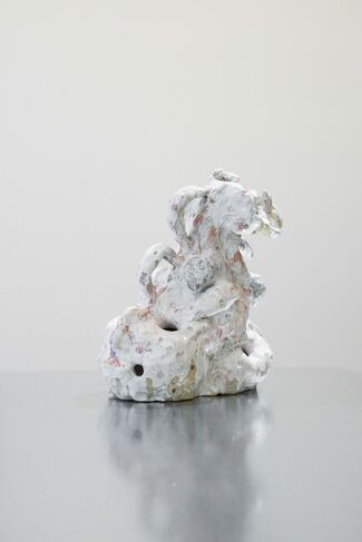 Penis Mushroom Series by Adomas Danusevicius, installation view