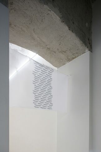 Hanne Lippard: *ahem*, installation view