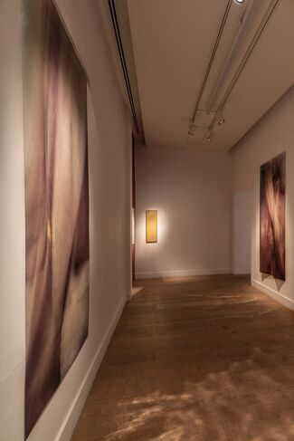 Arda Asena & Mia Dudek, 'Marsyas', installation view