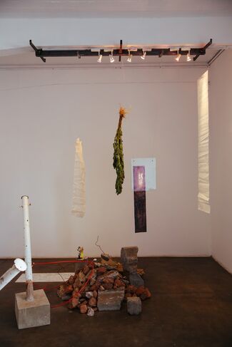 Entropy into a Third Landscape, installation view
