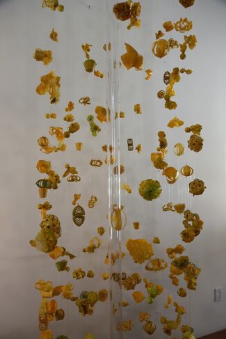 PIECES OF WHAT by Carolina Sánchez de Bustamante and Maxwell Sterry - Kelowna Art Gallery, installation view