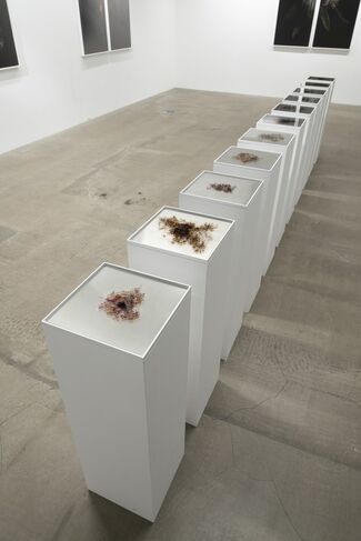 Ryoichi Kurokawa｜Objectum, installation view