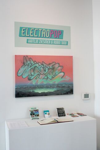Electropop: Kaitlin Ziesmer & Robin 1000, installation view