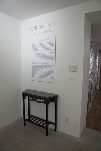 Aaron Pexa: The Lucent Parlor, installation view