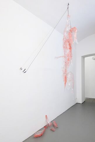 KASIA FUDAKOWSKI: Meat in Window, Worried by a Wasp, installation view