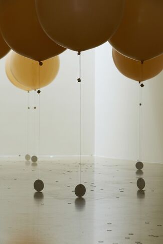 Kiss & Fly, installation view