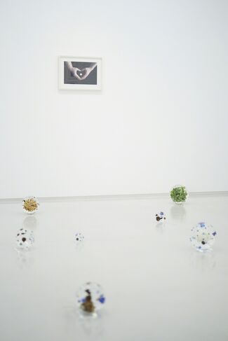 Satoshi Hirose “A Cosmology from Forest”, installation view