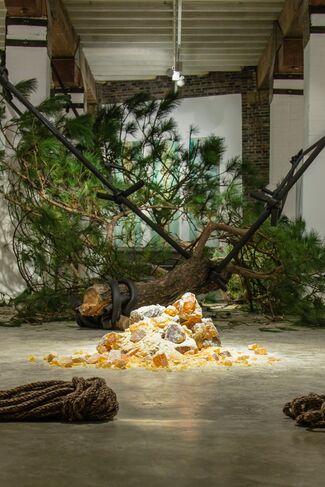 The Murmur of Pines - The Flush of Flowers, installation view