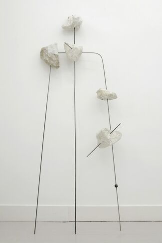 Vanessa Safavi, installation view