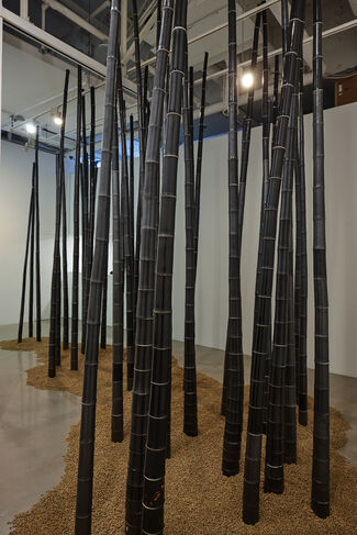 Lee Seung Hee, TAO: Between Dimensions, installation view