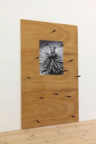 Thorsten Kirchhoff  - "Mxican Rdio", installation view