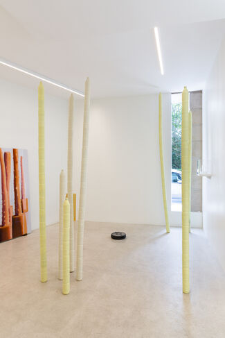 Luca Resta "Depiction of Nature and Society", installation view