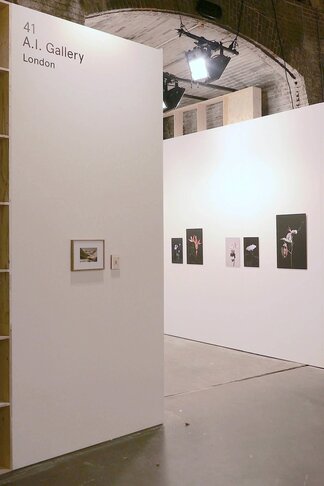 A.I. Gallery at UNSEEN Photo Fair 2017, installation view