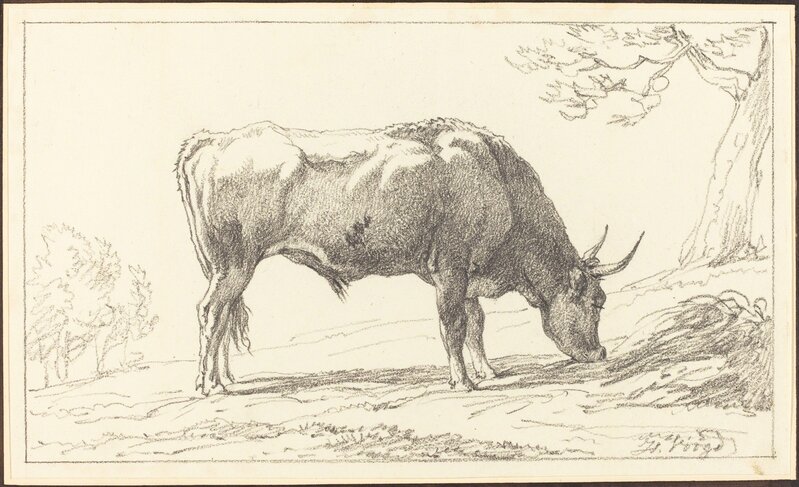 Hendrik Voogd, ‘A Cow Grazing’, Drawing, Collage or other Work on Paper, Black chalk on wove paper, National Gallery of Art, Washington, D.C.