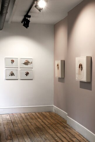 Wounded, installation view