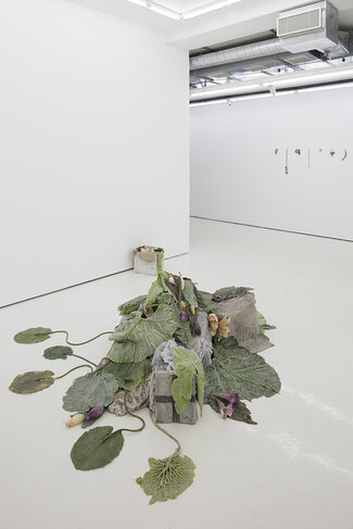 Roland Persson: Flora & Fauna (and some drawings, too), installation view