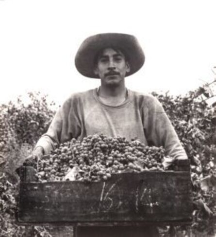 Pirkle Jones, ‘Grape Picker, Berryessa Valley, California’, 1956