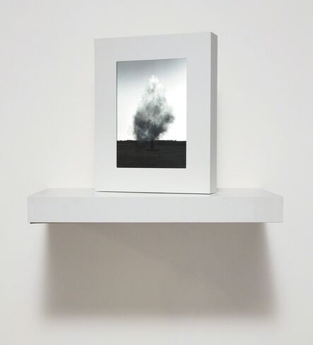 John Gerrard, ‘Smoke Tree IV’, 2006