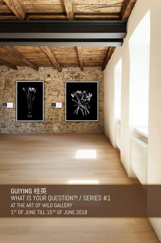 What Is Your Question?!, installation view