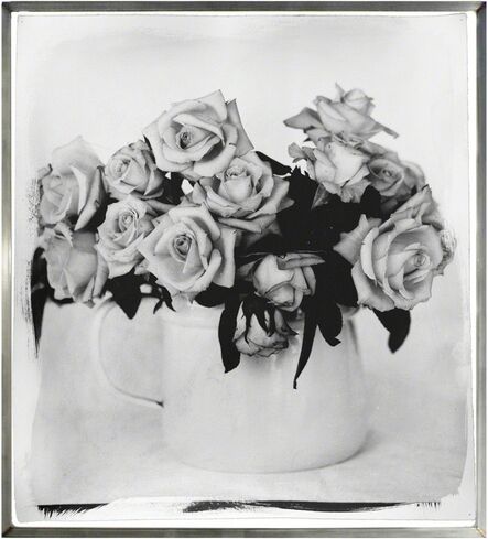 Stephen Inggs, ‘Roses, Overberg II’, 2003