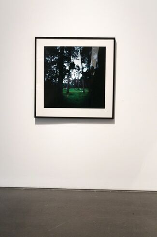 Dianne Bos: "The Sleeping Green", installation view