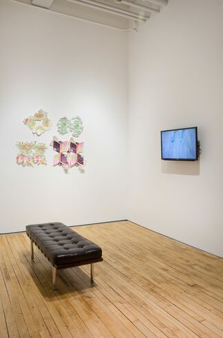 Jennifer Levonian: Shake Out Your Cloth, installation view