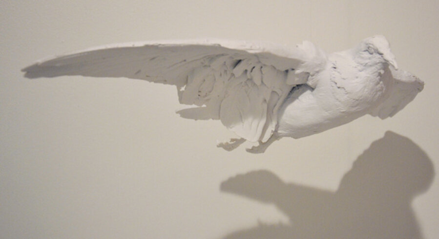 Dove