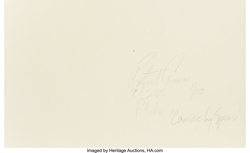 Robert Asman, ‘Art Museum (Cracked Walk), Passyunk & 2nd, Philadelphia, and Camac & Spruce, Philadelphia’, 2001-02, Photography, Toned gelatin silver, Heritage Auctions