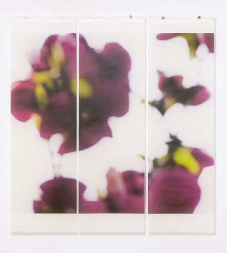 Jeri Eisenberg, ‘Dark Magnolia No. 4’, 2016