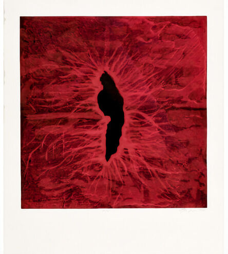 Anish Kapoor, ‘Untitled 10’, 1990