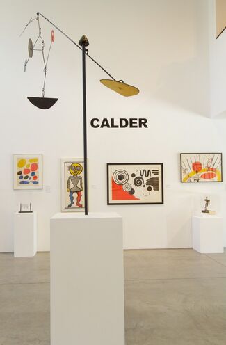 CALDER, installation view
