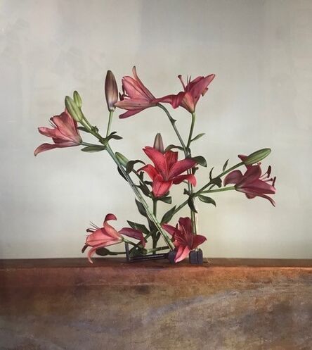 Richard Learoyd, ‘Tiger Lillies with Musical Armature’, 2018