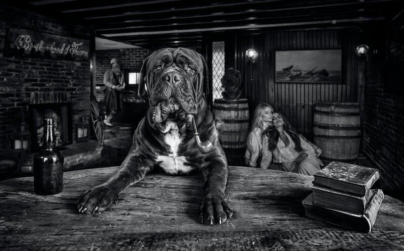 David Yarrow, ‘The Dogfather’, 2022, Photography, Archival Pigment Print, CAMERA WORK