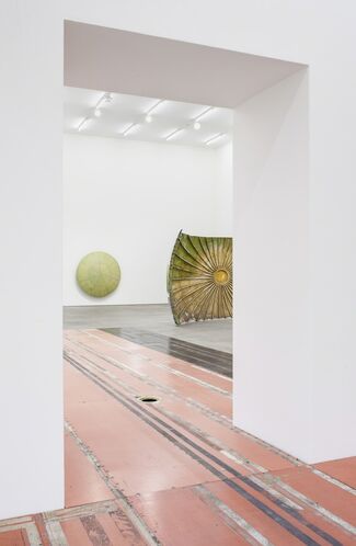 Michail Pirgelis 'Adopted', installation view