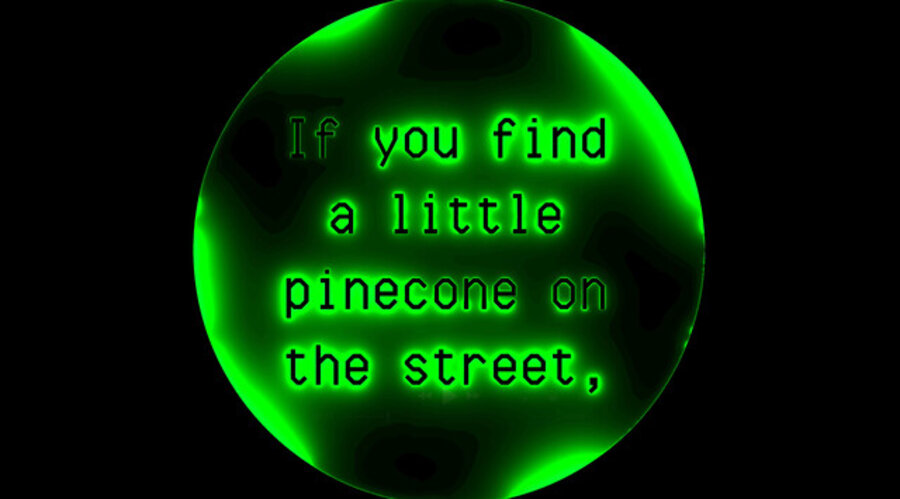 If You Find a Little Pinecone on the Street