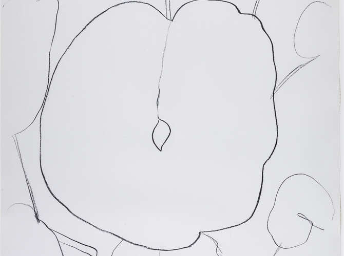 Line Drawings by Ellsworth Kelly