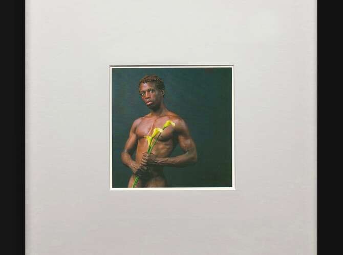 Flowers by Robert Mapplethorpe