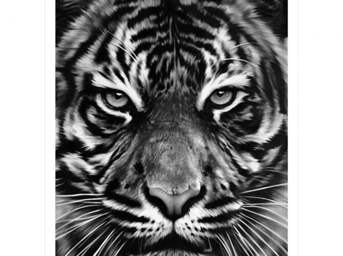 Tigers by Robert Longo