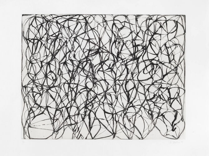 Cold Mountain Series by Brice Marden