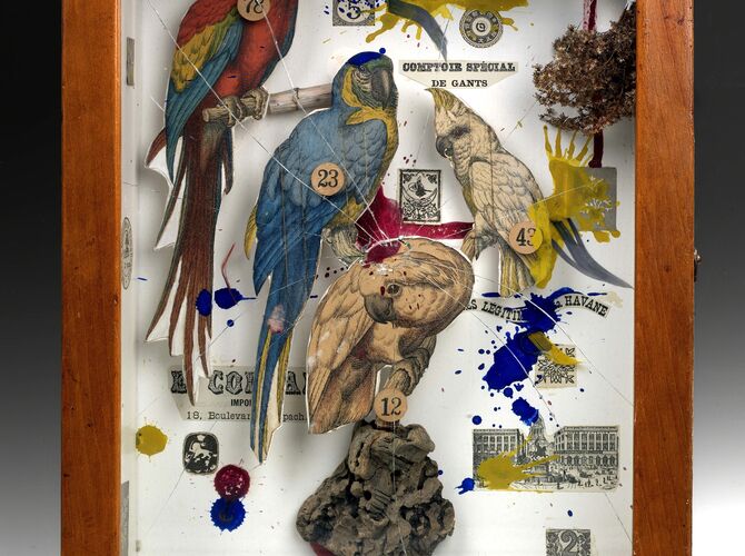Birds by Joseph Cornell