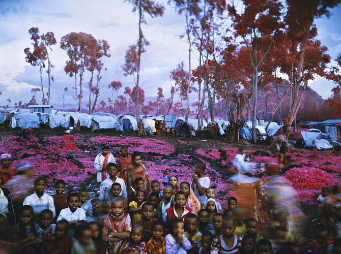 Enclave by Richard Mosse