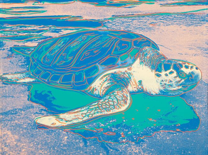 Turtles by Andy Warhol