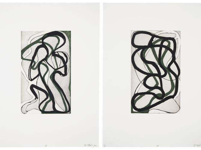 Etchings by Brice Marden