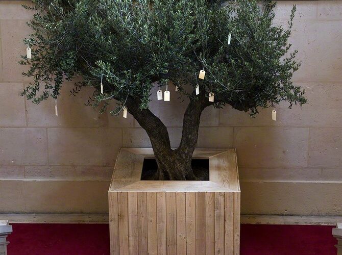 Wish Tree by Yoko Ono