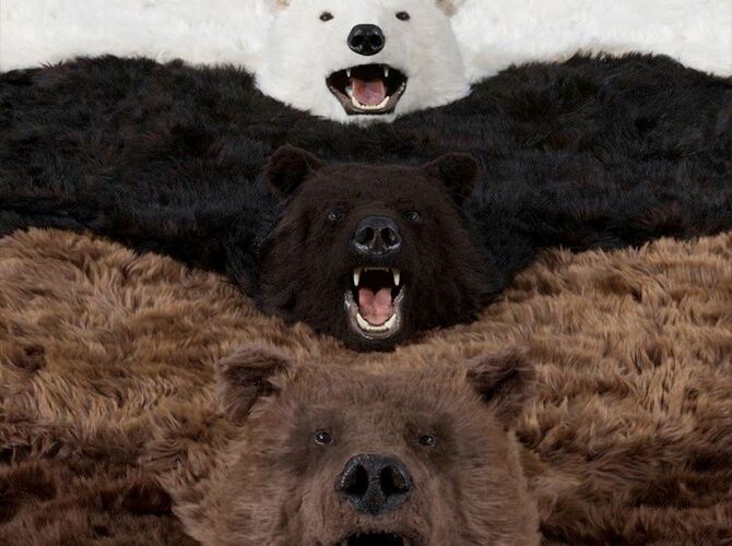 Bears by Paola Pivi
