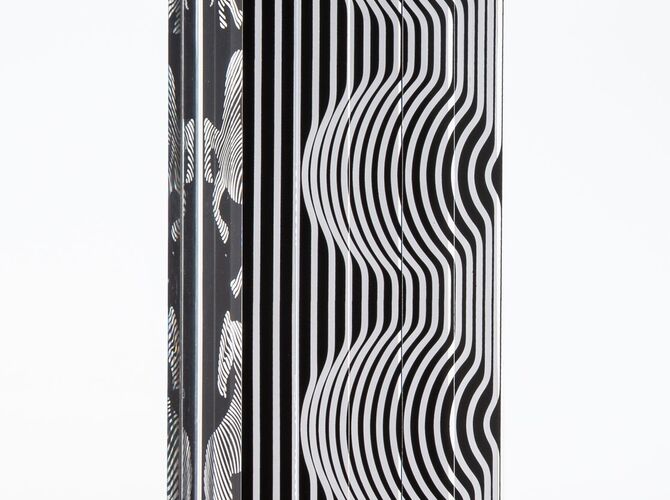 Zebra by Victor Vasarely