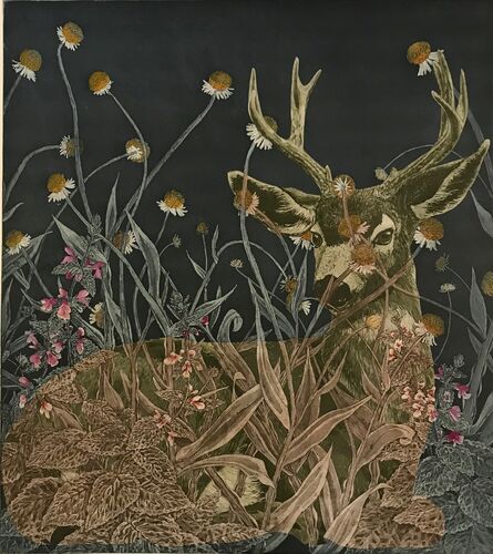 Julia Lucey, ‘Black-Tailed Deer in Sneezewood and Hedge Nettle’, 2018